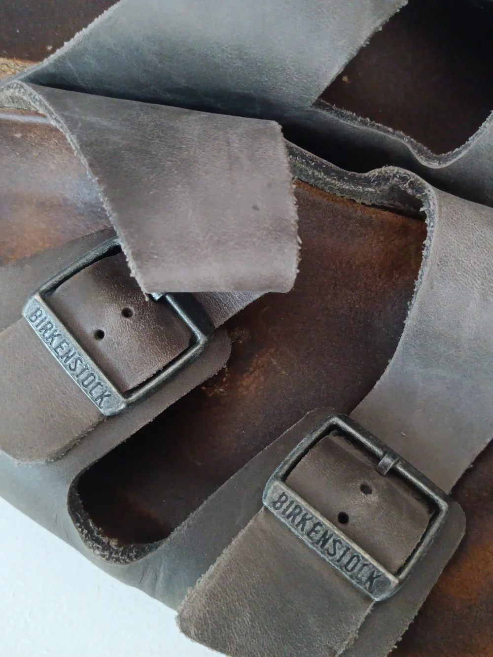 Birkenstock Men's Double Buckle Suede Slide Sandals in Gray Brown